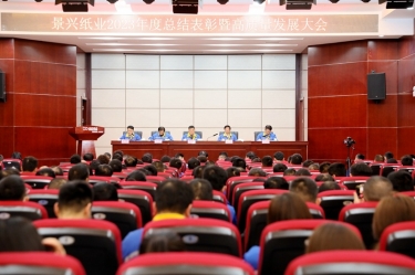 守正立异 负重拼搏 | NG电子游戏纸业2023年度总结表扬暨高质量生长大会盛大召开