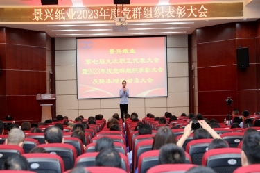 统一头脑 坚定信心 | NG电子游戏纸业召开第七届九次职工代表大会暨2023年度党群组织表扬大会及降本增效发动大会