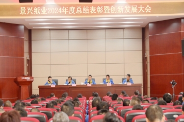 乘风破浪 逐梦前行 | NG电子游戏纸业2024年度总结表扬暨立异生长大会盛大召开