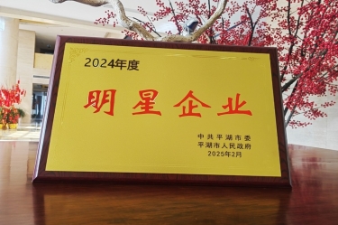 新春新景新气象 | NG电子游戏纸业在平湖三干大会上喜摘声誉！