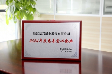 NG电子游戏纸业荣获嘉兴市“2024年度慈善爱心企业”声誉称呼