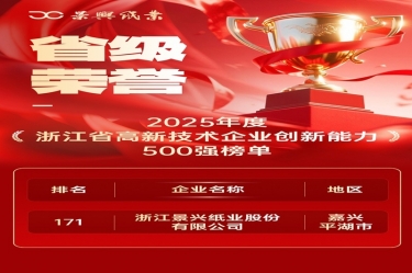 省级声誉+1！NG电子游戏纸业上榜浙江省高新企业立异能力500强