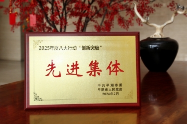 策马扬鞭启新程！NG电子游戏纸业在平湖市三级干部大会上荣获“立异突破”双项声誉
